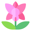 球根植物